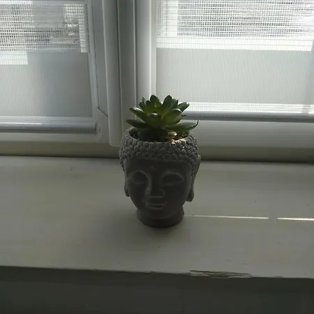 Semesterbostad La Terrasse Mers-les-Bains